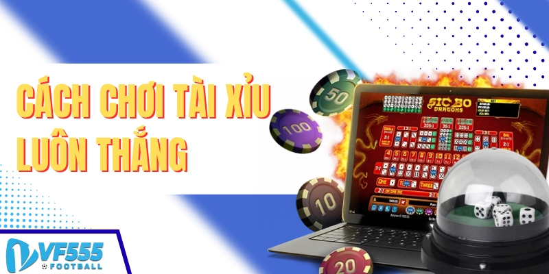 Cách chơi tài xỉu online luôn thắng