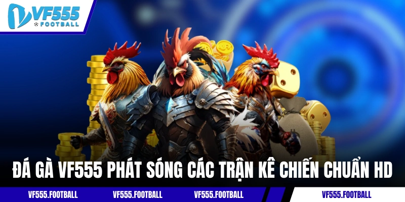 Đá gà VF555 phát sóng các trận kê chiến chuẩn HD