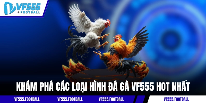 Khám phá các loại hình đá gà VF555 hot nhất