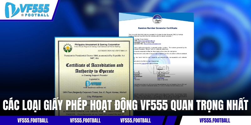Các loại giấy phép hoạt động VF555 quan trọng nhất